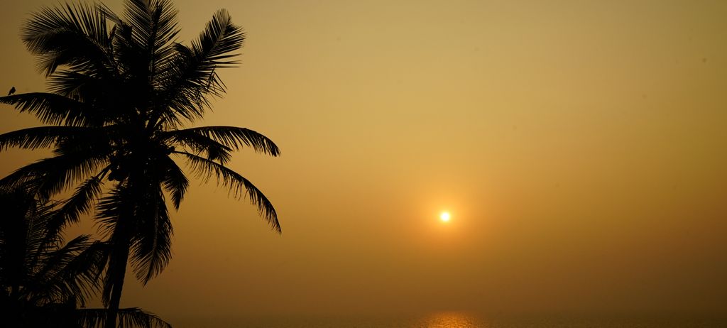 ヤシの木のシルエットと、海に沈むオレンジ色の夕日